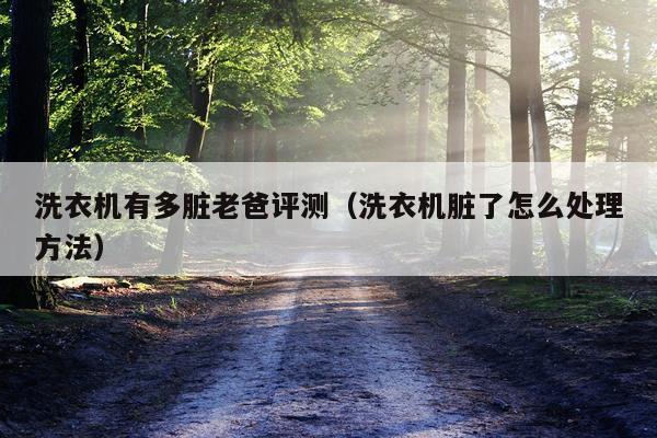 洗衣机有多脏老爸评测（洗衣机脏了怎么处理方法）