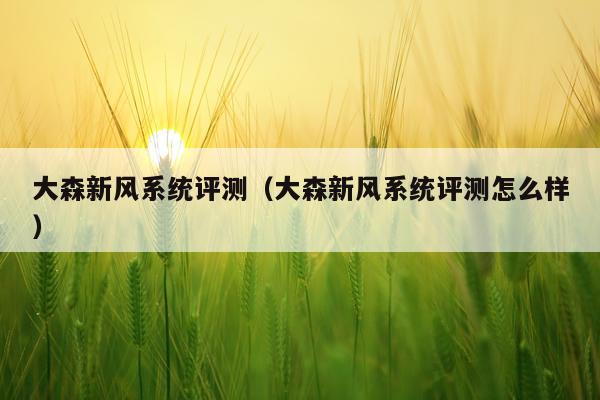 大森新风系统评测（大森新风系统评测怎么样）