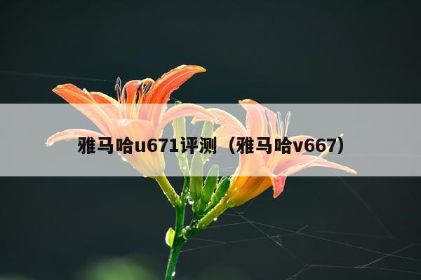 雅马哈u671评测（雅马哈v667）