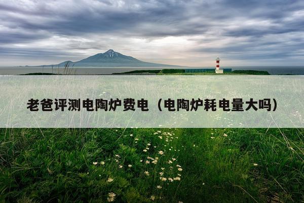 老爸评测电陶炉费电（电陶炉耗电量大吗）