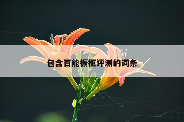 包含百能橱柜评测的词条