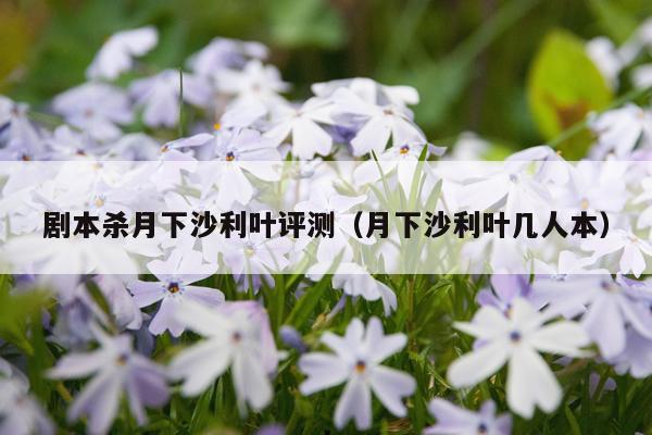剧本杀月下沙利叶评测（月下沙利叶几人本）
