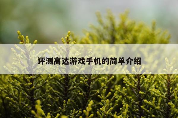 评测高达游戏手机的简单介绍