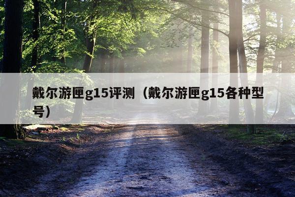 戴尔游匣g15评测（戴尔游匣g15各种型号）