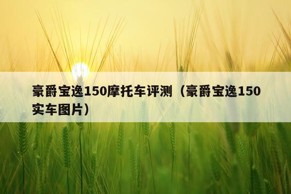 豪爵宝逸150摩托车评测（豪爵宝逸150实车图片）