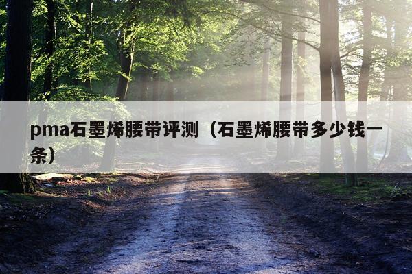 pma石墨烯腰带评测（石墨烯腰带多少钱一条）