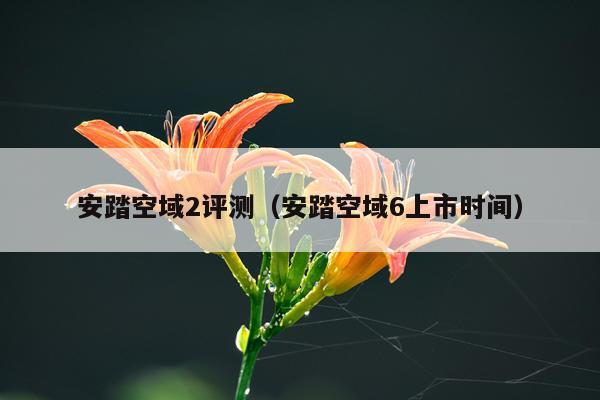 安踏空域2评测（安踏空域6上市时间）