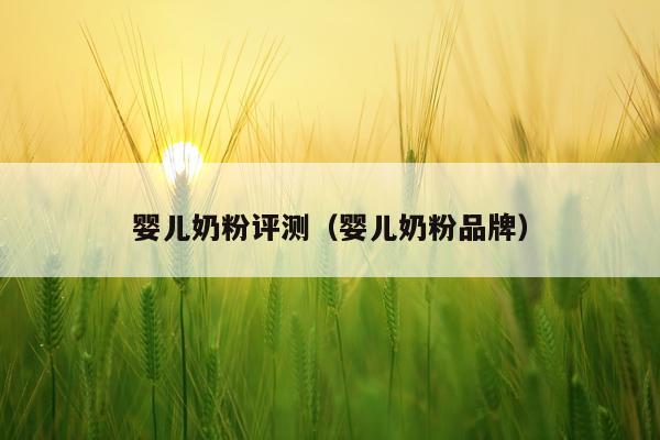 婴儿奶粉评测（婴儿奶粉品牌）