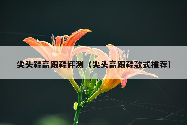 尖头鞋高跟鞋评测（尖头高跟鞋款式推荐）