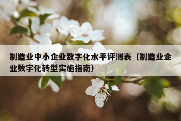 制造业中小企业数字化水平评测表（制造业企业数字化转型实施指南）