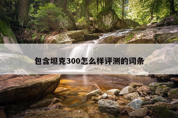 包含坦克300怎么样评测的词条