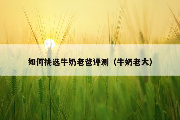 如何挑选牛奶老爸评测（牛奶老大）