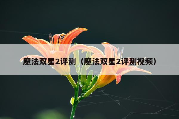 魔法双星2评测（魔法双星2评测视频）