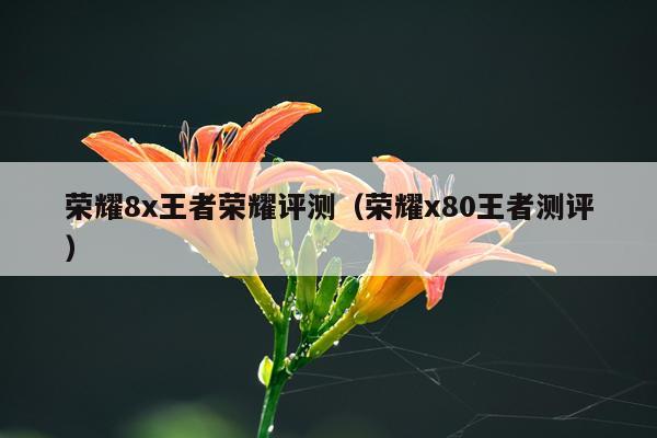 荣耀8x王者荣耀评测（荣耀x80王者测评）