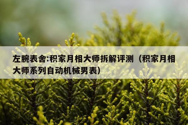 左腕表舍:积家月相大师拆解评测（积家月相大师系列自动机械男表）