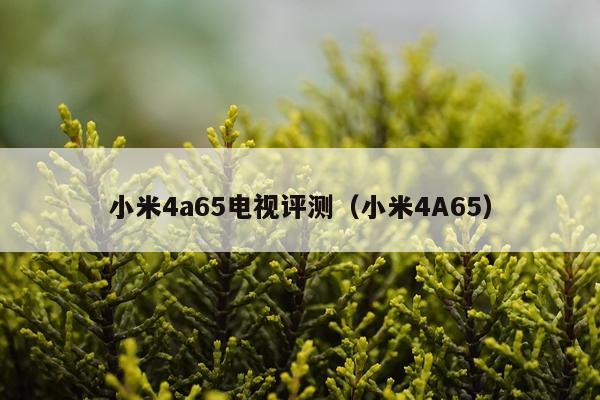 小米4a65电视评测（小米4A65）