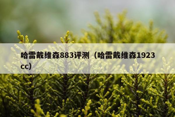 哈雷戴维森883评测（哈雷戴维森1923cc）
