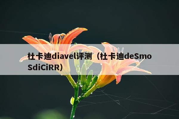 杜卡迪diavel评测（杜卡迪deSmoSdiCiRR）
