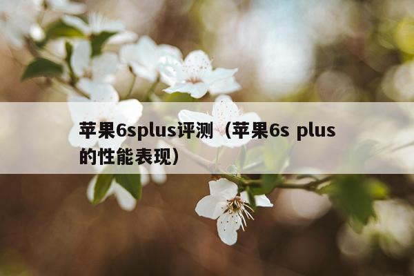 苹果6splus评测（苹果6s plus的性能表现）