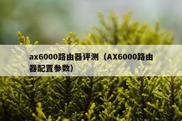 ax6000路由器评测（AX6000路由器配置参数）