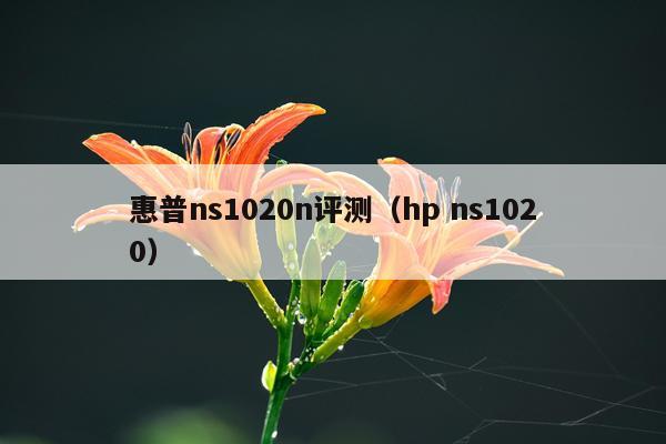 惠普ns1020n评测（hp ns1020）
