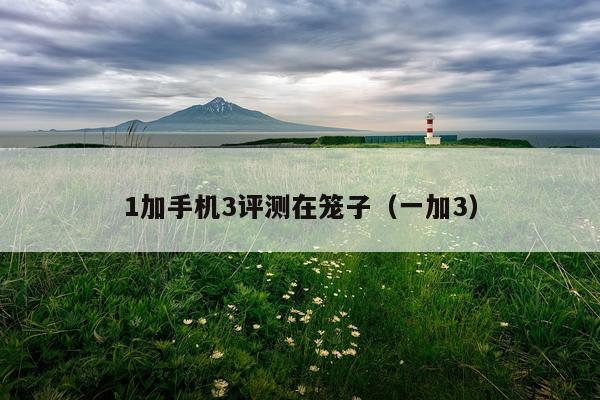 1加手机3评测在笼子（一加3）