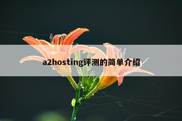 a2hosting评测的简单介绍
