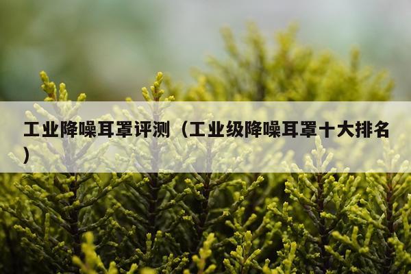 工业降噪耳罩评测（工业级降噪耳罩十大排名）