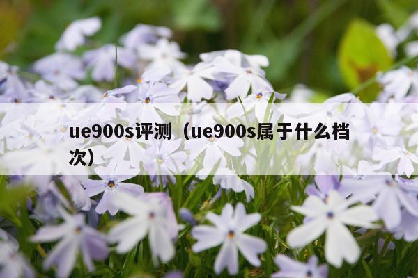 ue900s评测（ue900s属于什么档次）