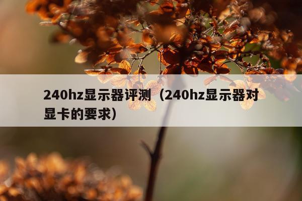 240hz显示器评测（240hz显示器对显卡的要求）