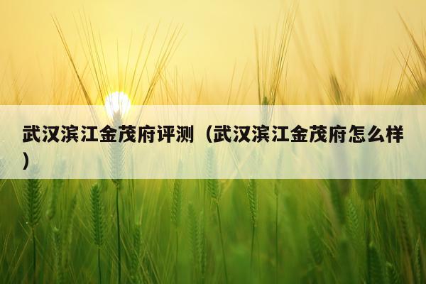 武汉滨江金茂府评测（武汉滨江金茂府怎么样）