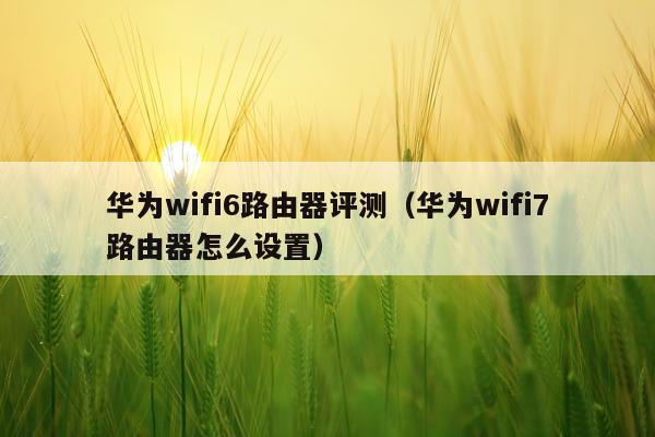 华为wifi6路由器评测（华为wifi7路由器怎么设置）