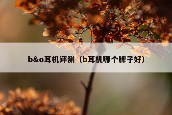 b&o耳机评测（b耳机哪个牌子好）