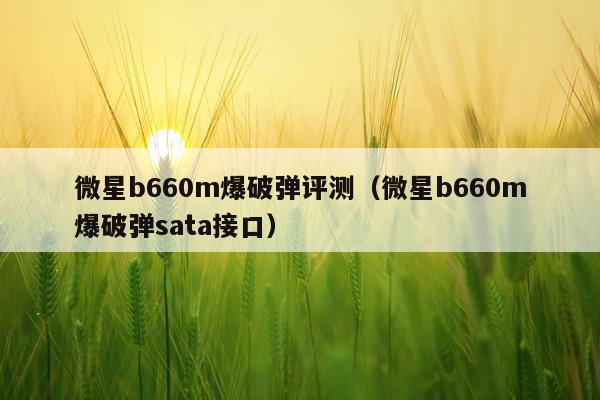 微星b660m爆破弹评测（微星b660m爆破弹sata接口）