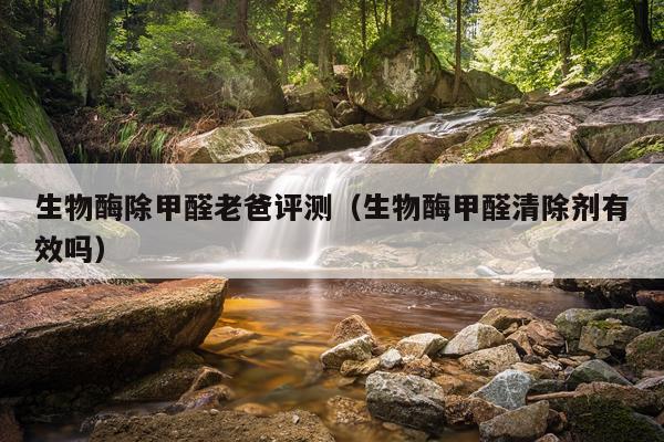 生物酶除甲醛老爸评测（生物酶甲醛清除剂有效吗）