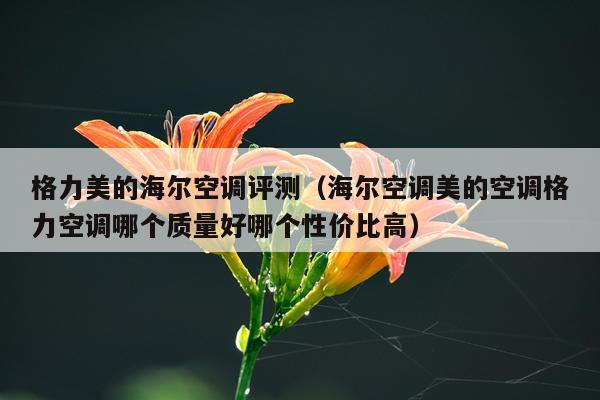 格力美的海尔空调评测（海尔空调美的空调格力空调哪个质量好哪个性价比高）