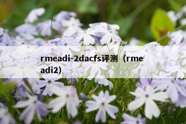 rmeadi-2dacfs评测（rme adi2）
