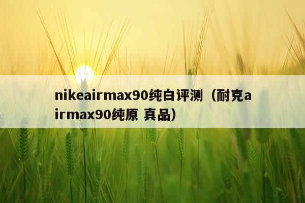 nikeairmax90纯白评测（耐克airmax90纯原 真品）