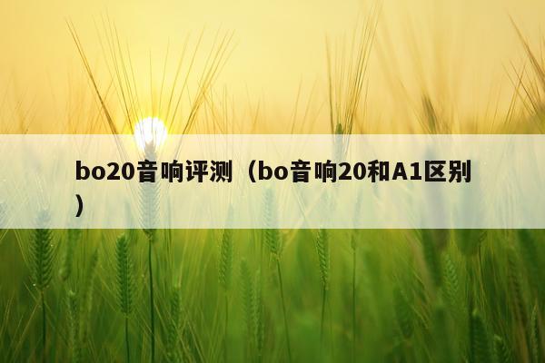 bo20音响评测（bo音响20和A1区别）