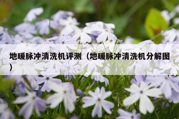 地暖脉冲清洗机评测（地暖脉冲清洗机分解图）