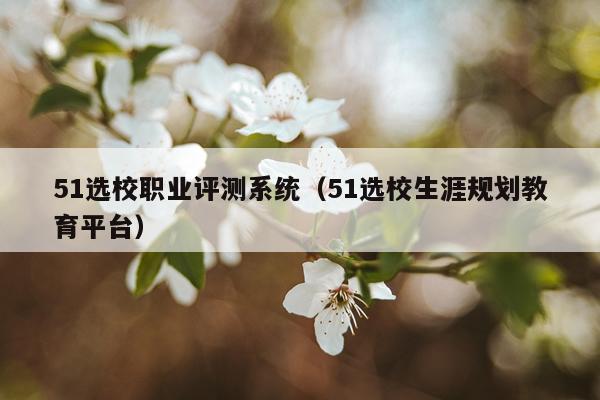 51选校职业评测系统（51选校生涯规划教育平台）