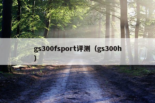 gs300fsport评测（gs300h）