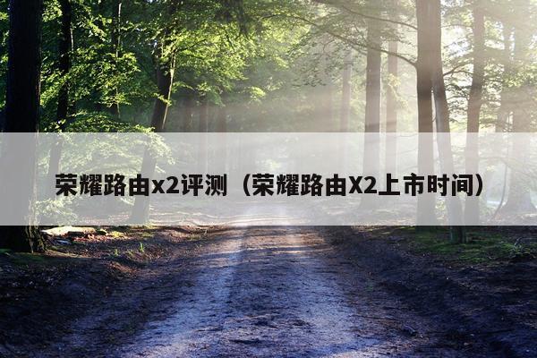 荣耀路由x2评测（荣耀路由X2上市时间）