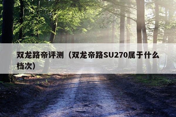 双龙路帝评测（双龙帝路SU270属于什么档次）