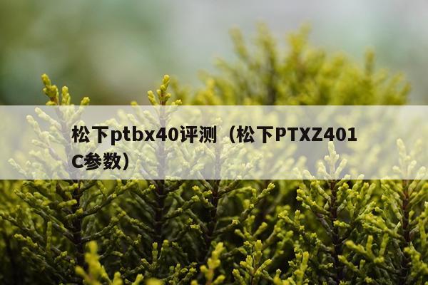 松下ptbx40评测（松下PTXZ401C参数）