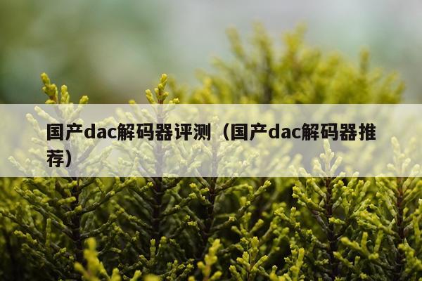 国产dac解码器评测（国产dac解码器推荐）