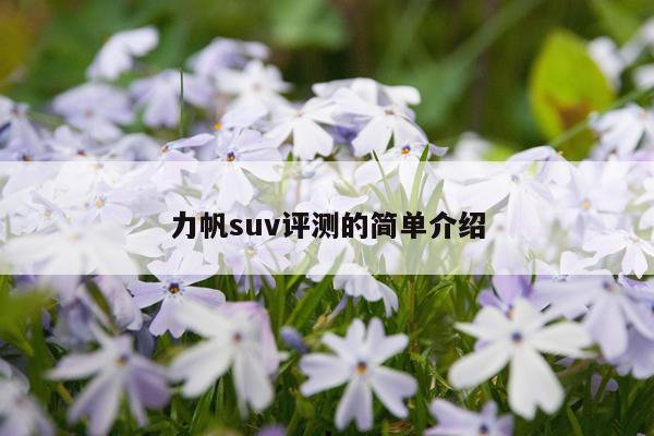 力帆suv评测的简单介绍