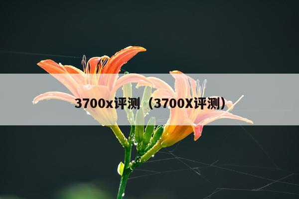 3700x评测（3700X评测）