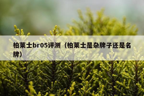 柏莱士br05评测（柏莱士是杂牌子还是名牌）
