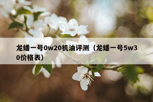 龙蟠一号0w20机油评测（龙蟠一号5w30价格表）
